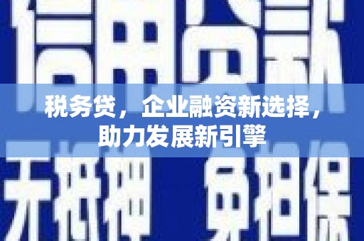 潍坊税务贷，企业融资新选择，助力发展新引擎