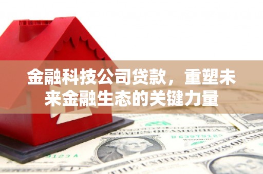 潍坊金融科技公司贷款，重塑未来金融生态的关键力量