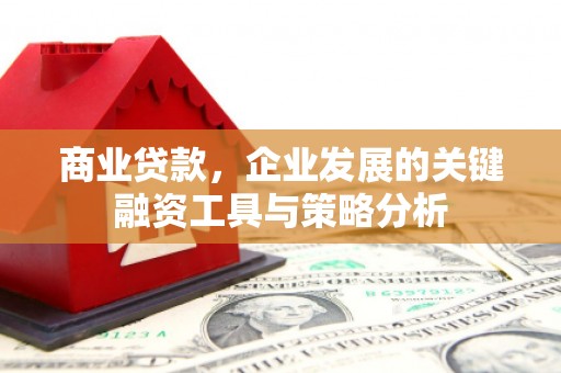 潍坊商业贷款，企业发展的关键融资工具与策略分析