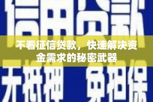 潍坊不看征信贷款，快速解决资金需求的秘密武器