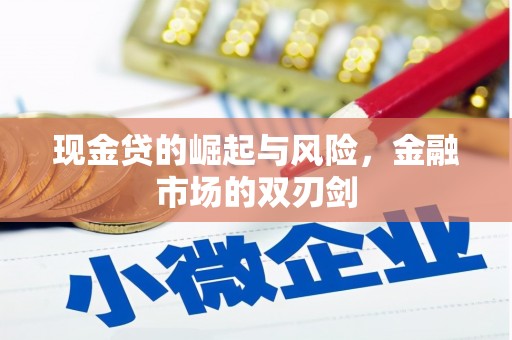 潍坊现金贷的崛起与风险，金融市场的双刃剑