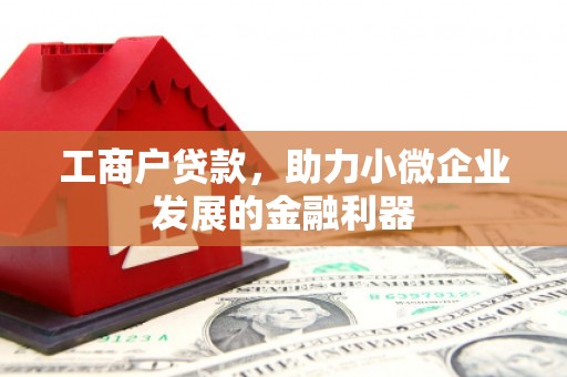 潍坊工商户贷款，助力小微企业发展的金融利器