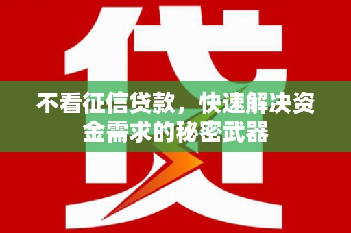潍坊不看征信贷款，快速解决资金需求的秘密武器