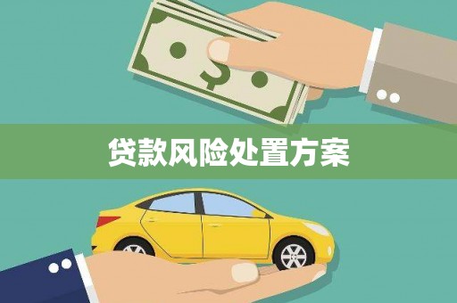 潍坊贷款风险处置方案