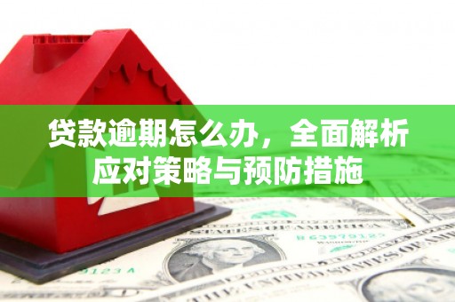 潍坊贷款逾期怎么办，全面解析应对策略与预防措施