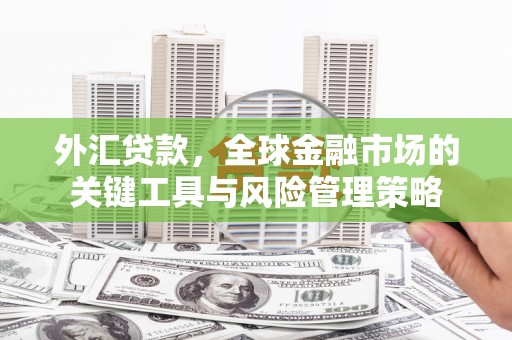 潍坊外汇贷款，全球金融市场的关键工具与风险管理策略