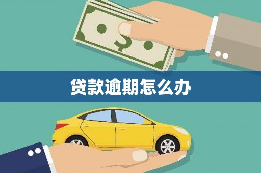 潍坊贷款逾期怎么办