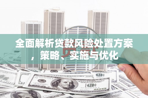 潍坊全面解析贷款风险处置方案，策略、实施与优化