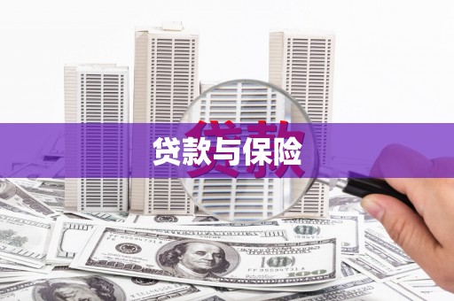 潍坊贷款与保险