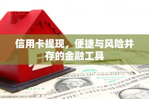 潍坊信用卡提现，便捷与风险并存的金融工具
