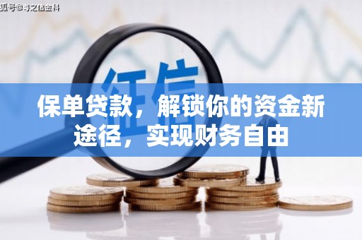 潍坊保单贷款，解锁你的资金新途径，实现财务自由