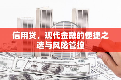 潍坊信用贷，现代金融的便捷之选与风险管控