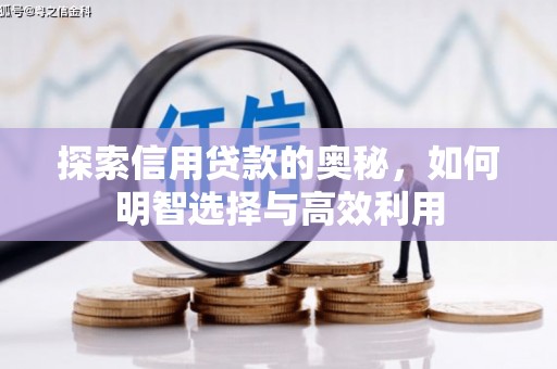 潍坊探索信用贷款的奥秘，如何明智选择与高效利用