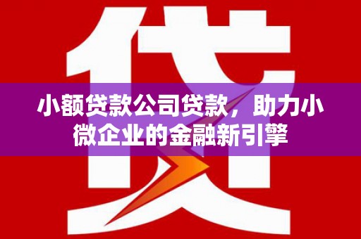 潍坊小额贷款公司贷款，助力小微企业的金融新引擎