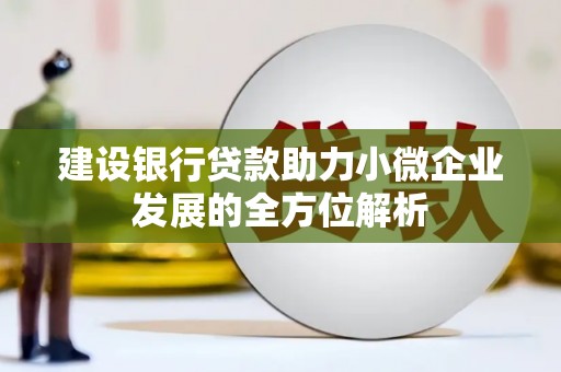 潍坊建设银行贷款助力小微企业发展的全方位解析