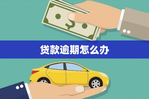 潍坊贷款逾期怎么办