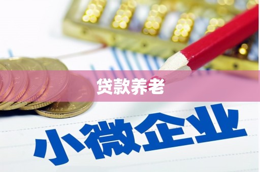 潍坊贷款养老