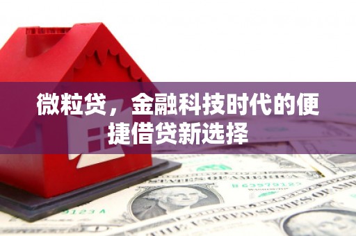 潍坊微粒贷，金融科技时代的便捷借贷新选择
