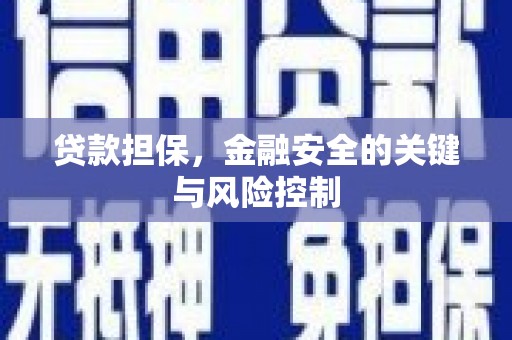 潍坊贷款担保，金融安全的关键与风险控制