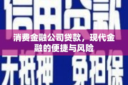 潍坊消费金融公司贷款，现代金融的便捷与风险