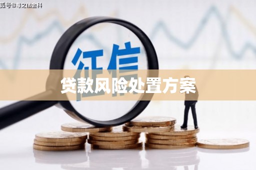 潍坊贷款风险处置方案