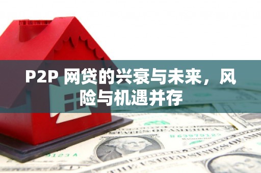 潍坊P2P 网贷的兴衰与未来，风险与机遇并存