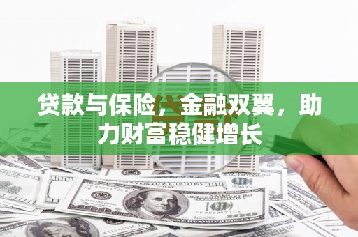潍坊贷款与保险，金融双翼，助力财富稳健增长