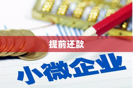 潍坊提前还款