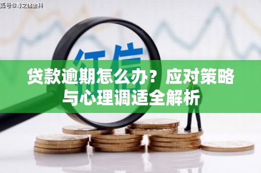 潍坊贷款逾期怎么办？应对策略与心理调适全解析