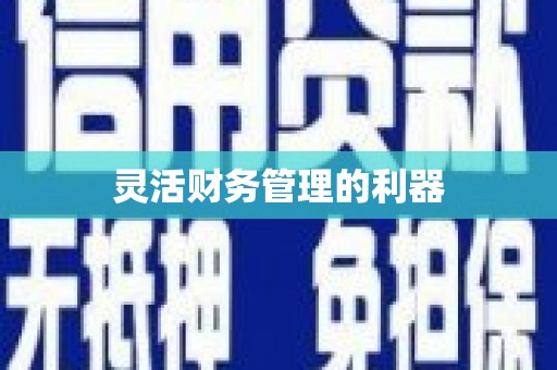 潍坊灵活财务管理的利器
