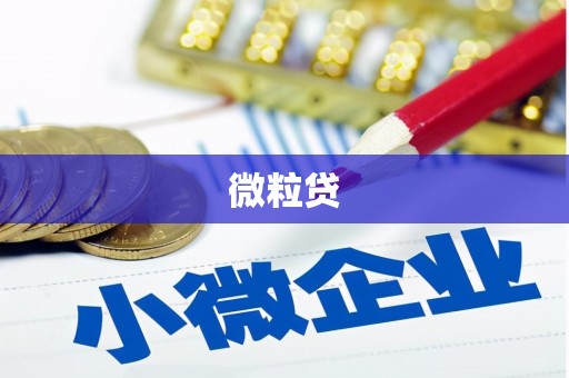 潍坊微粒贷