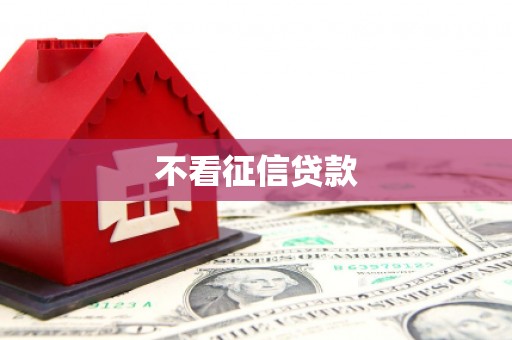 潍坊不看征信贷款