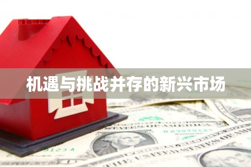 潍坊机遇与挑战并存的新兴市场