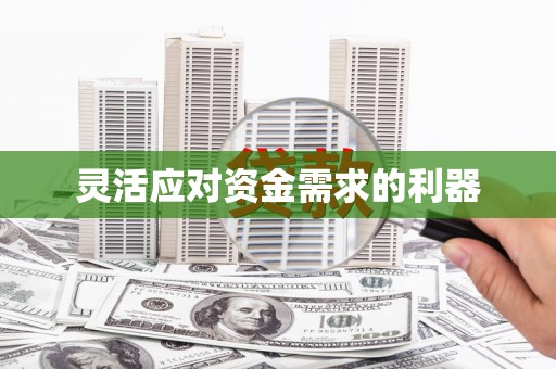 潍坊灵活应对资金需求的利器