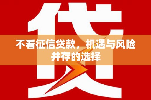 潍坊不看征信贷款，机遇与风险并存的选择