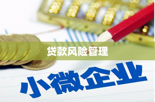 潍坊贷款风险管理