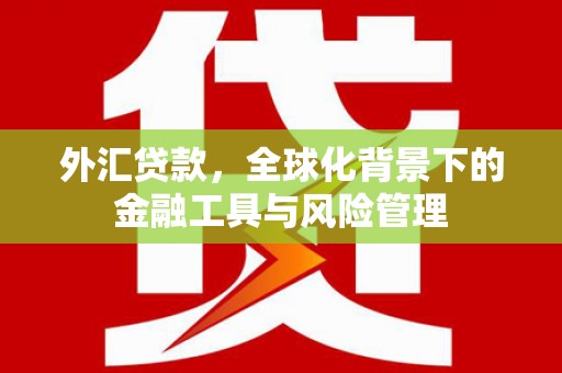 潍坊外汇贷款，全球化背景下的金融工具与风险管理