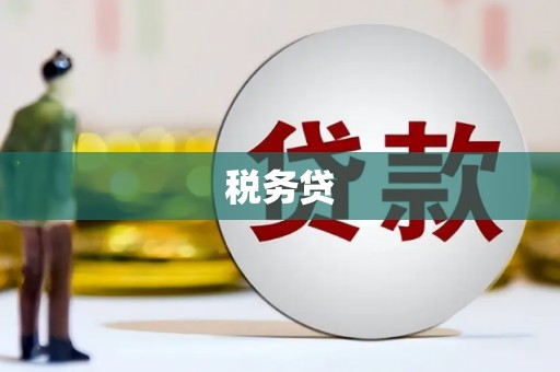 潍坊税务贷